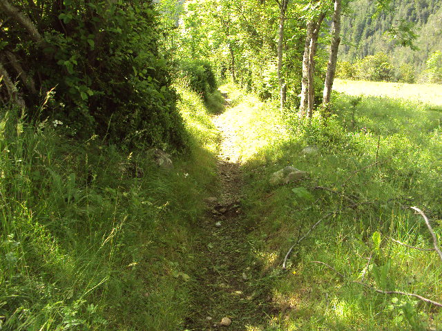 #7 photos trompeuse ,de grosses marches plus loin photos trompeuse ,de grosses marches plus loin