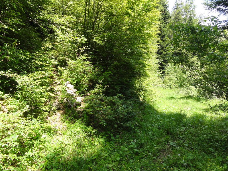 #1 sentier : départ du chemin quand on coupe la piste, petit kairn sentier : départ du chemin quand on coupe la piste, petit kairn