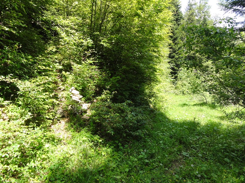 sentier : départ du chemin quand on coupe la piste, petit kairn