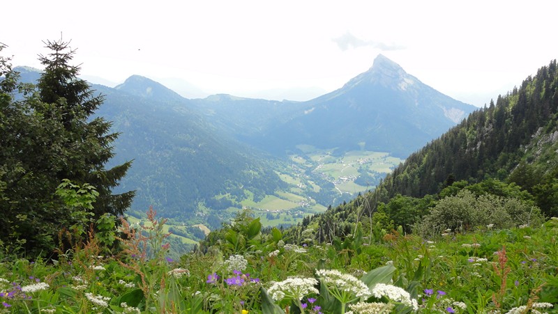 vue au sud : depuis le col