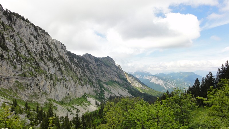 vallon : vers le nord, vallon sous barrière Est du grand Som