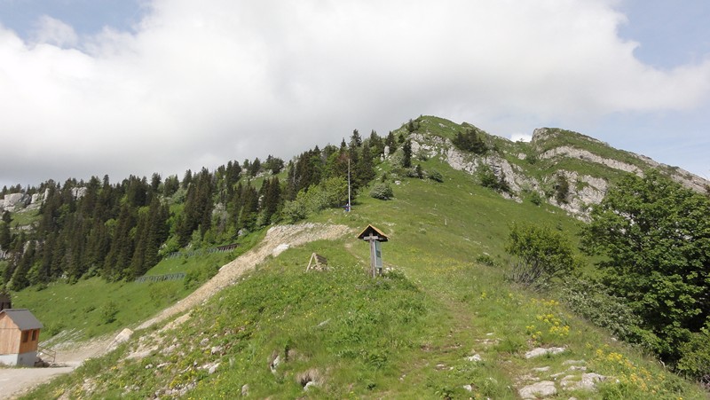 #3 La Scia : sommet La Scia : sommet