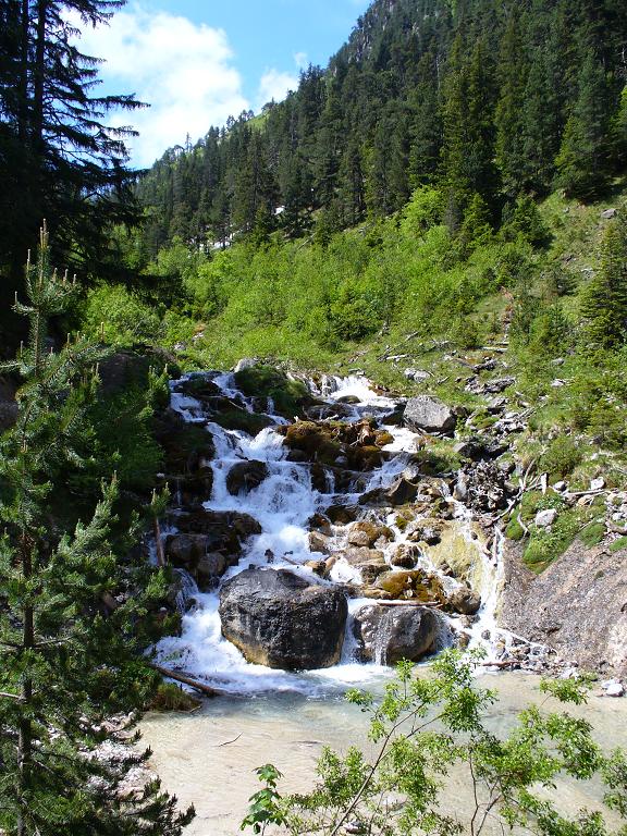 #3 Torrent de la Rosière : Cascade Torrent de la Rosière : Cascade