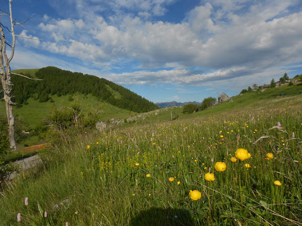 #4 Col de l Col de l'Espaul : C'est quoi ce col du Mercantour qui porte le nom d'une guitare US mythique ?