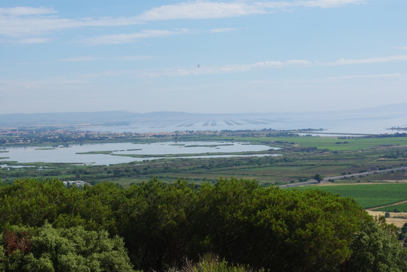 #6 L L'etang de Thau : ..et ses parc à huitres.