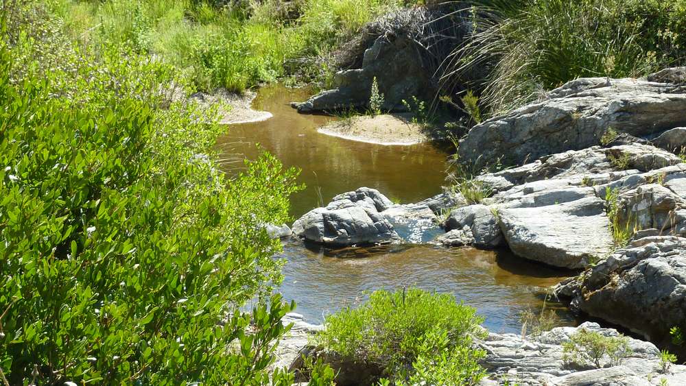 #4 étonnant en periode de secheresse étonnant en periode de secheresse