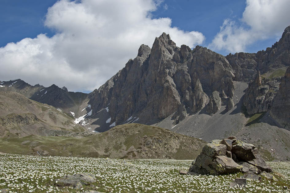 #4 col du Chardonnet : Crête de Queyrellin col du Chardonnet : Crête de Queyrellin