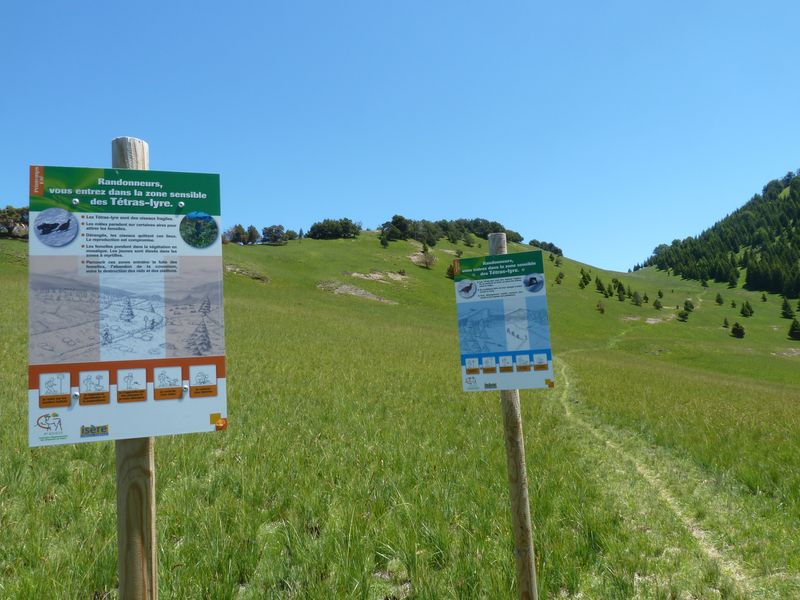 #3 Prégentil : Ca y est l Prégentil : Ca y est l'herbe a repoussé depuis le feu de l'an passé.