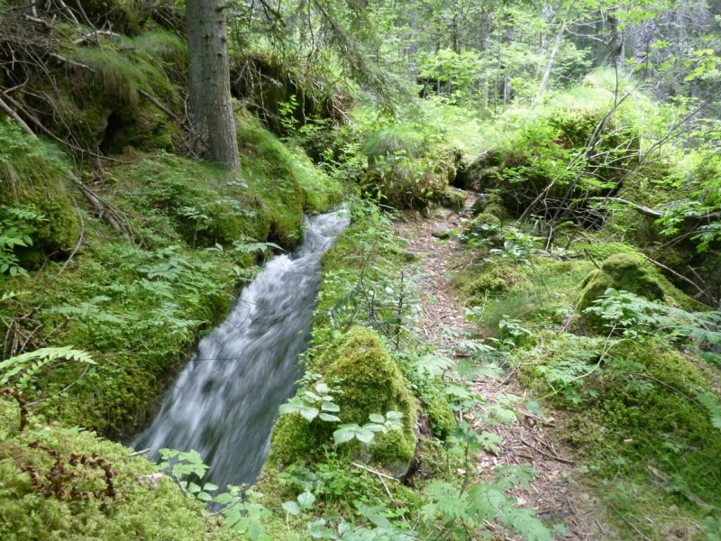 #3 Canal Gramorel : au milieu des blocs Canal Gramorel : au milieu des blocs
