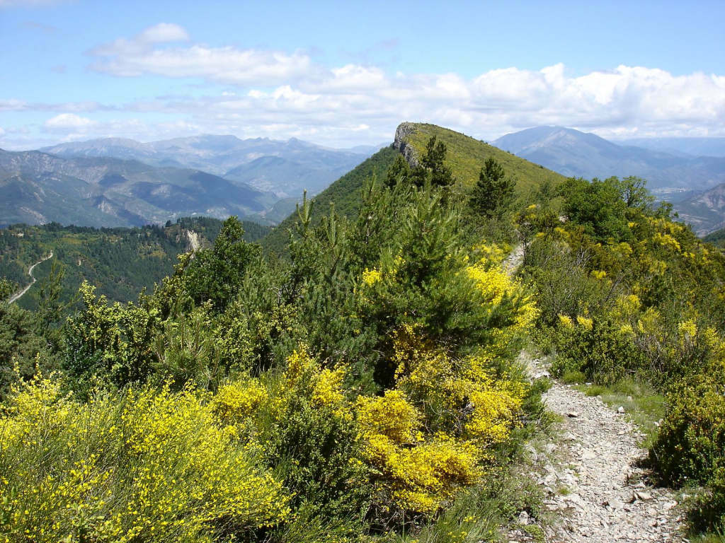 Sentier de crête : arrivée au pas d'Entrages