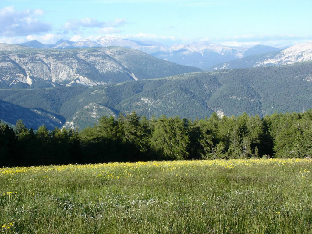 Contraste : Sommets enneigés vers Allos