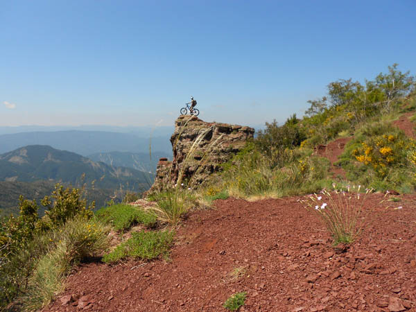 un trek à col bleu : en pleine nidification