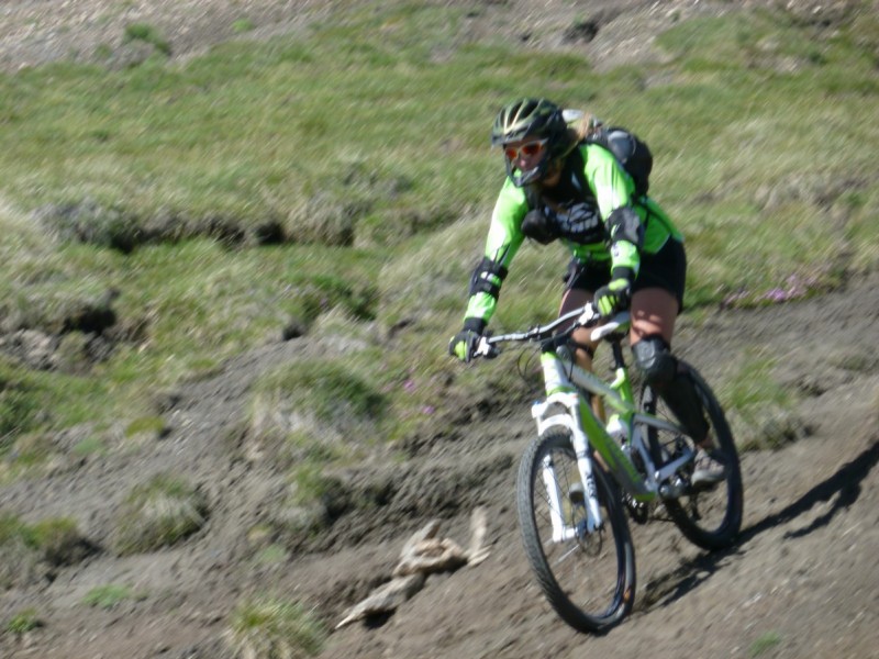 #23 Zigual : dans le vert de l Zigual : dans le vert de l'action