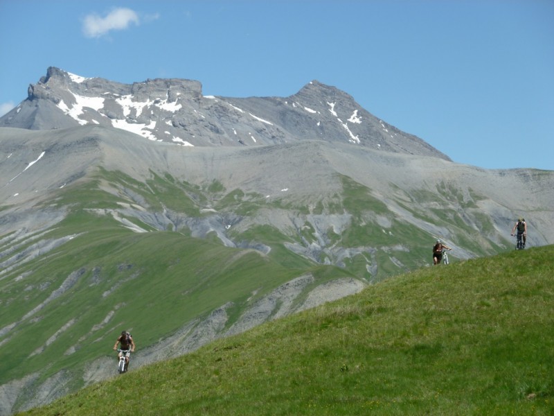 alpage : Crête de la Buffe et Saussay/Goléon