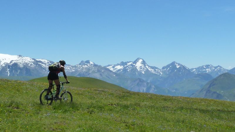 #17 Joli single Joli single