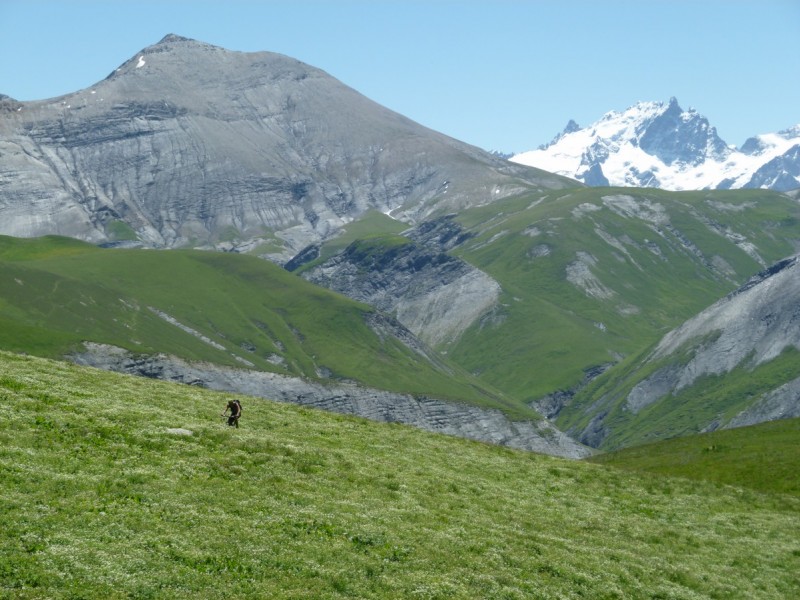 #14 bientôt la pose casse-croute : avec vue sur le Pic du Mas de la Grave (hier) et la Meije bientôt la pose casse-croute : avec vue sur le Pic du Mas de la Grave (hier) et la Meije