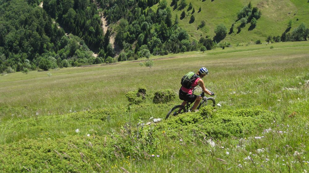 #2 Descente du col de la Brêche : Bel alpage Descente du col de la Brêche : Bel alpage