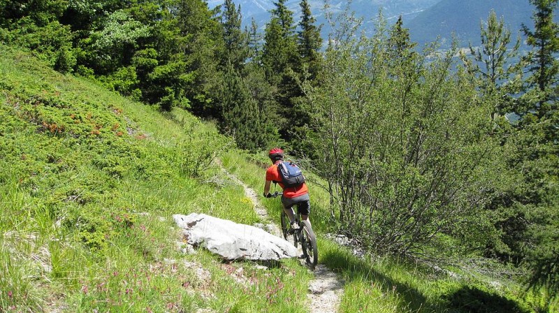 #3 puis le sentier : devient ludique ! puis le sentier : devient ludique !