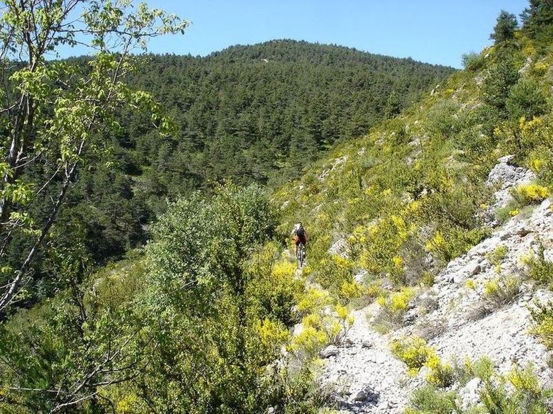 Montée à la crête du Loup : par un sentier agréable et varié