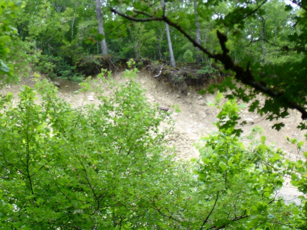 Chamois : sur la rive droite de l'Estéron, vers Gars