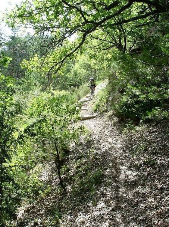 Marches : entre la Villette et le gué, passage bien entretenu rendu cassant par les rondins de bois