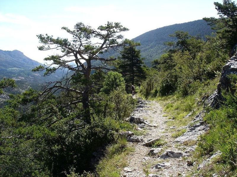 Premier sentier : pas loin de la crête de Busquillon