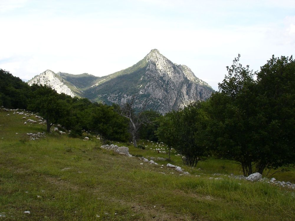 Mont Saint-Martin : vu d'Abdoun où paissent quelques moutons bien tranquilles