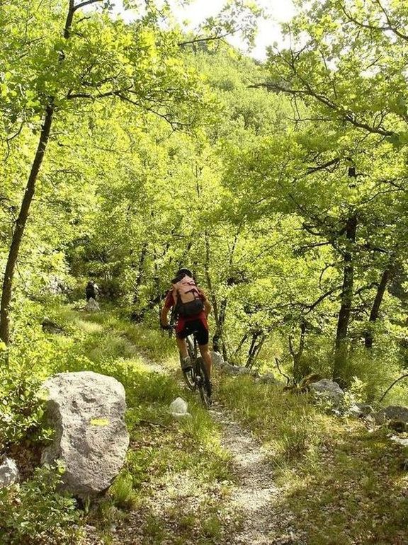#2 D D'aiglun à Vascognes : joli sentier au-dessus de la route
