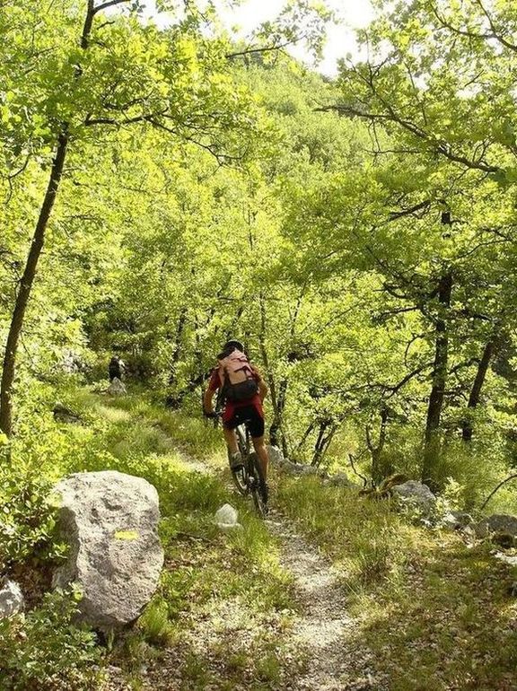 D'aiglun à Vascognes : joli sentier au-dessus de la route