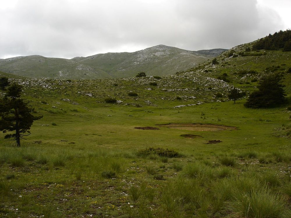 Dolines : combe d'Henry