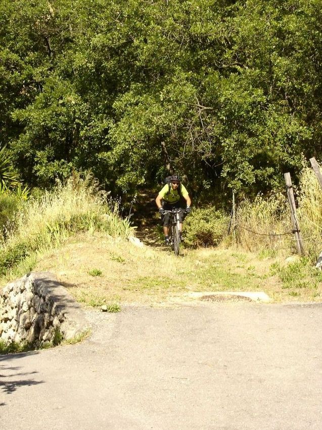 #3 Apparition : Niak sort du GR dans Gattières Apparition : Niak sort du GR dans Gattières