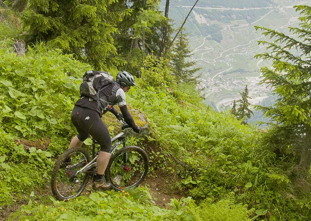 #4 Bovinette : Descente sur Bovinette Bovinette : Descente sur Bovinette