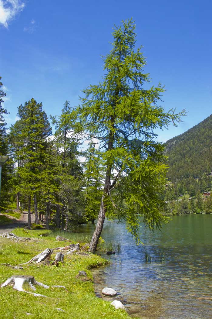 Champex : Pique-nique au bord du lac de Champex. Il y a pire !