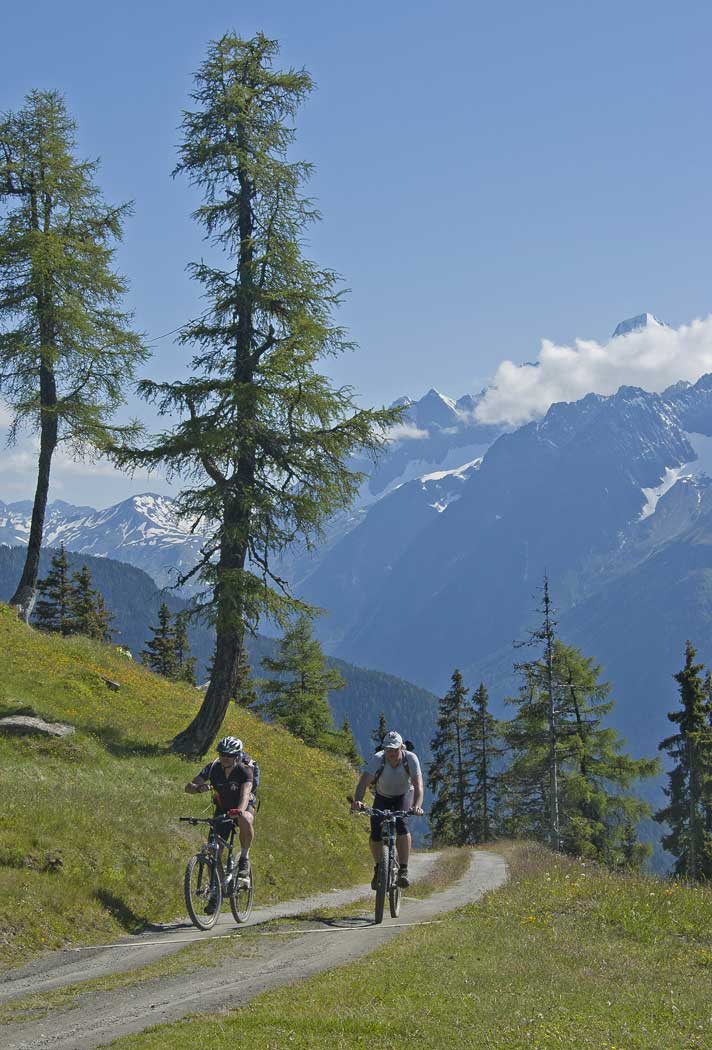 Alpage de Moay : Montée sur piste à l'alpage de Moay