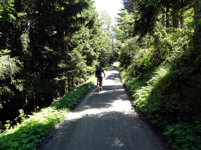#2 Bonne piste ombragée : bon qq gros coup de cul pour faire plaisir aux costaud et pour faire pousser les plus faibles comme nous ;) Bonne piste ombragée : bon qq gros coup de cul pour faire plaisir aux costaud et pour faire pousser les plus faibles comme nous ;)