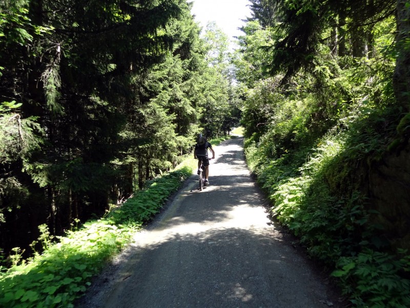 Bonne piste ombragée : bon qq gros coup de cul pour faire plaisir aux costaud et pour faire pousser les plus faibles comme nous ;)