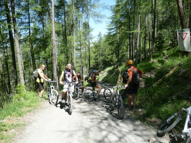 #1 coupe de bois annoncée : là on récupère de la piste mort raide, avant les hostilités coupe de bois annoncée : là on récupère de la piste mort raide, avant les hostilités