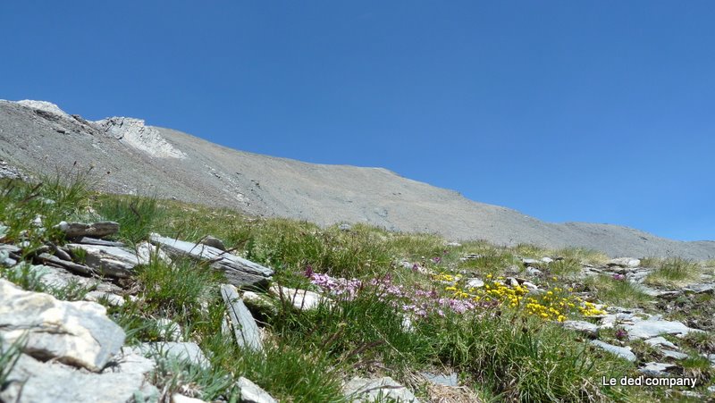 Punta Nera : Versant SW et les crêtes qui se roulent