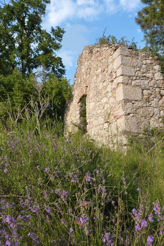 #7 Ruine : Les lavandes sont toujours là Ruine : Les lavandes sont toujours là
