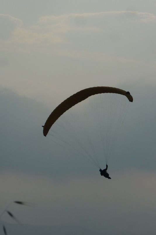 #2 Parapente : Il maitrisait mais je me demande bien où il va pouvoir atterrir vu que la pratique est à présent interdite sur la commune de Roquebrune ! Parapente : Il maitrisait mais je me demande bien où il va pouvoir atterrir vu que la pratique est à présent interdite sur la commune de Roquebrune !
