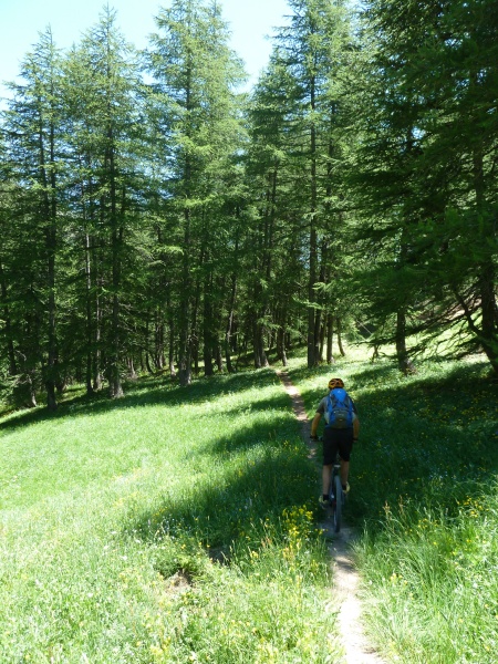 Descente sur Allos : 800m de sentier lisse