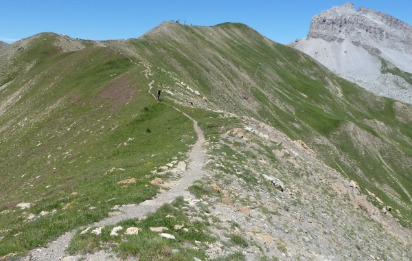 Crêtes de Sestrière à Allos : C'est long mais très sympa