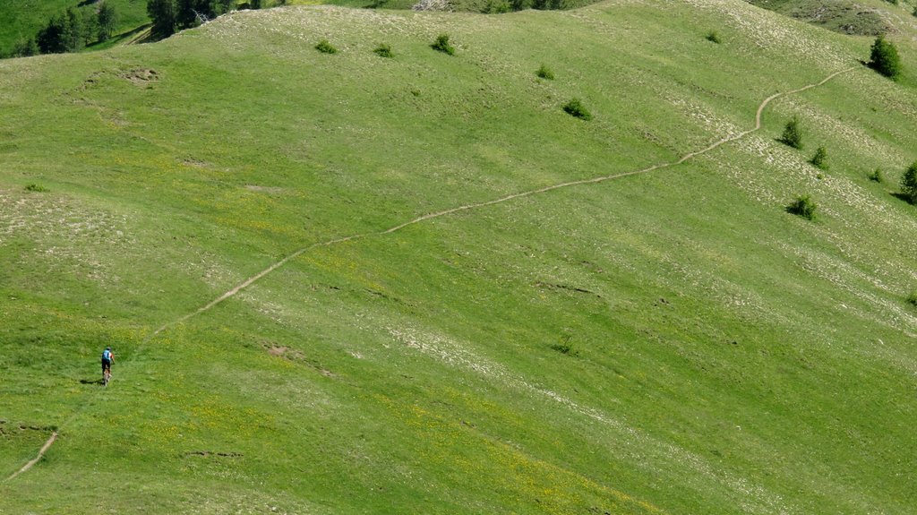 Single track : c'est pour ça qu'on aime le VDM