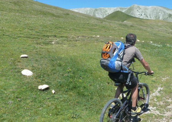 Montagne de Boule : Traversée d'un rond de sorcière