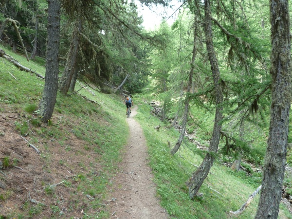 Montée aux Lacs de Lignin : par la foret de St Jean