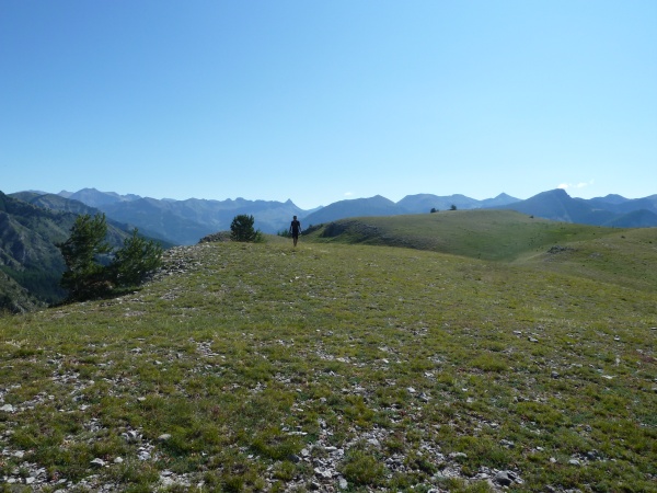 Pic de Mal Ubac : Dome herbeux, pays du mouton