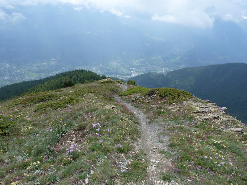 #6 Pte de Metz : Descente sur Aoste bis Pte de Metz : Descente sur Aoste bis