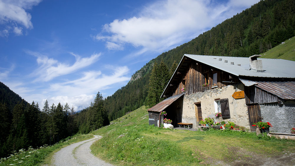 Chalet de Trébutine : bonne piste bien roulante