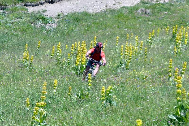 Mont du Fût : Descente florale