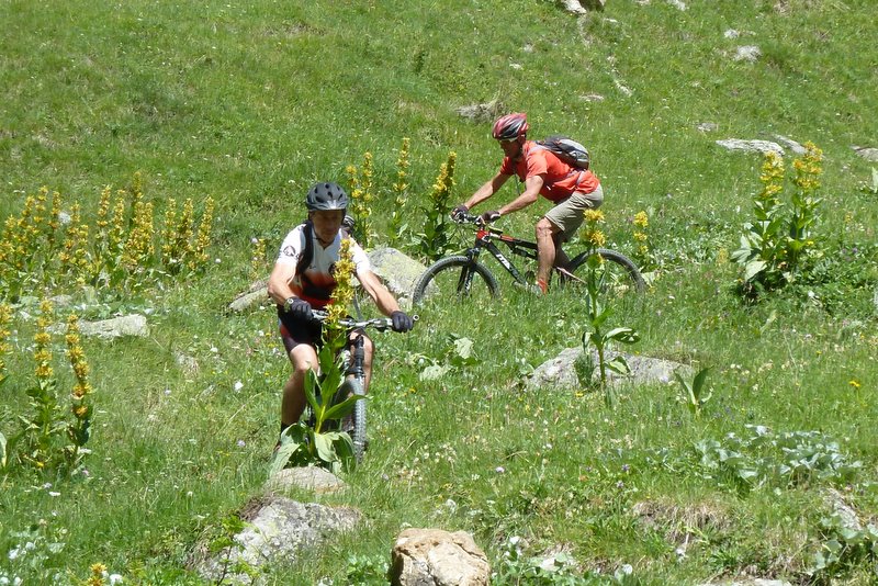 #31 Gittamelon : Descente syncro Gittamelon : Descente syncro